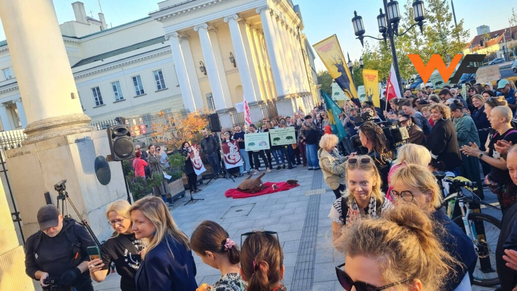 «Кабаны должны жить»: в Варшаве состоялась акция против уничтожения диких кабанов