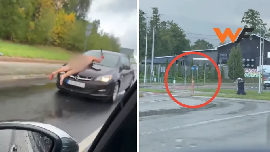 В Польше голый мужчина с мачете устроил беспорядок на трассе, нападая на машины [ВИДЕО]