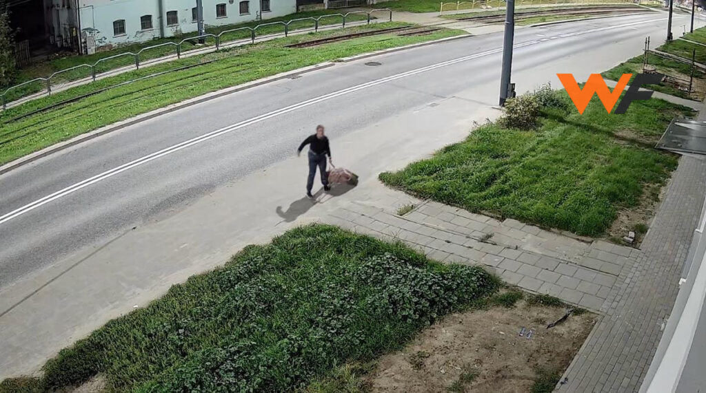 Полиция Эльблонга ищет женщину, бросившую возле мусорных баков сумку с погибшей собакой [ВИДЕО]