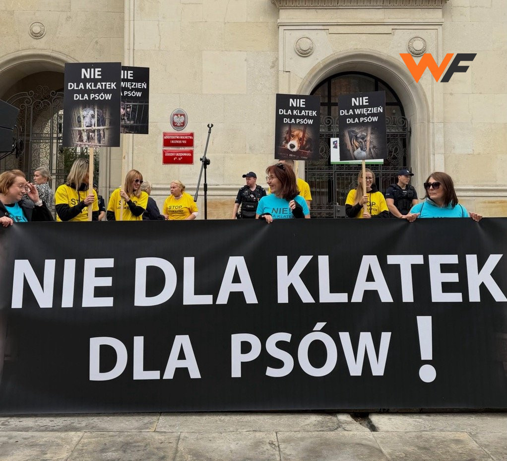 «Против клеток для собак»: в Варшаве состоялась демонстрация против содержания животных в маленьких вольерах