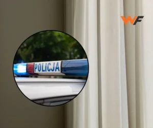 Полиция Польши проверяет фары с 22 октября: штрафы до 3000 злотых и бесплатный осмотр 24 октября