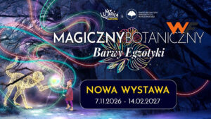 Magiczny Botaniczny 2026: миллион огней, светящиеся слоны и хищные растения в Ботаническом саду с 7 ноября